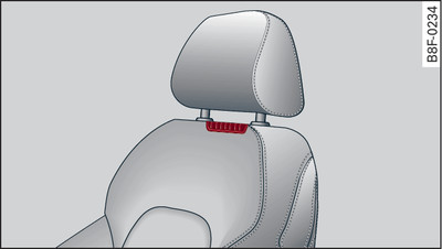 Driver's seat: Air outlets for neck heating